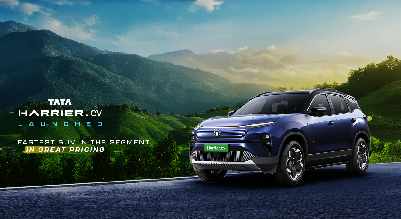 Car Dealership Banner 1